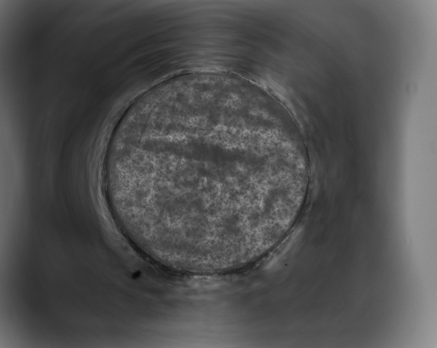 X0000088920145200707061409
