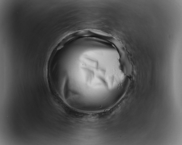 X0000088920148200707061409