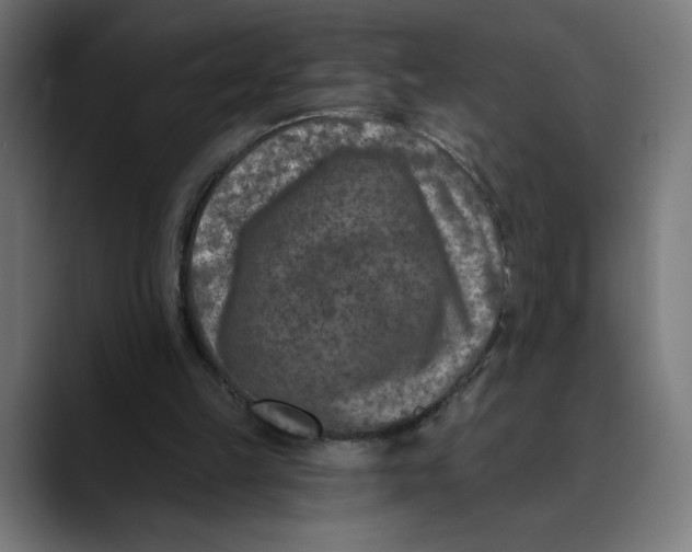 X0000088920149200707061409