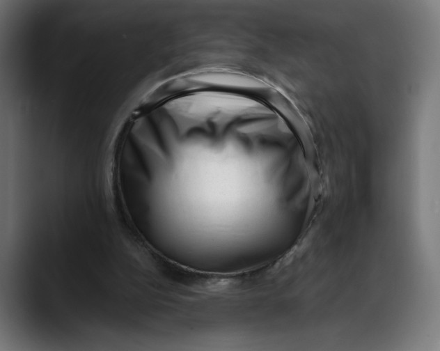 X0000088920152200707061409