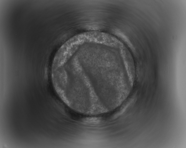 X0000088920161200707061409
