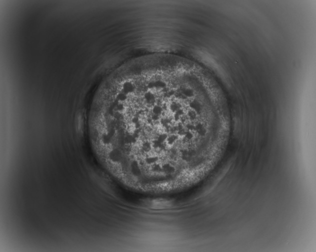 X0000088920165200707061409