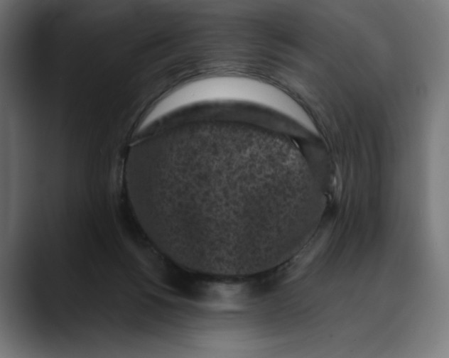 X0000088920168200707061410