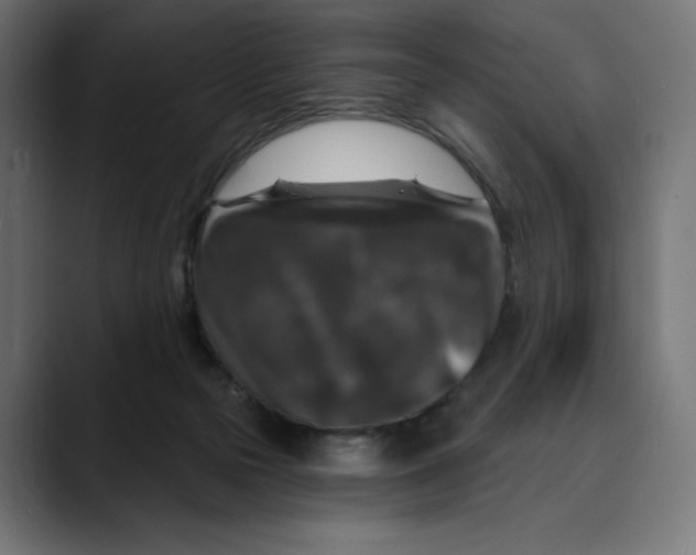 X0000088920169200707061410