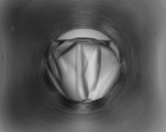 X0000088920172200707061410