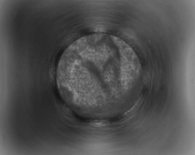 X0000088920175200707061410