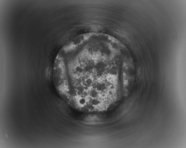 X0000088920177200707061410