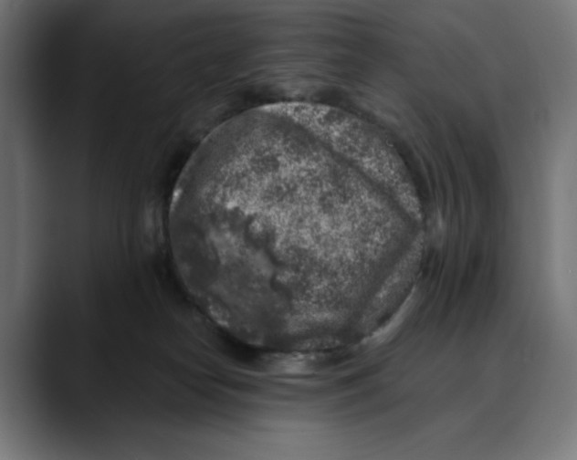 X0000088920182200707061410