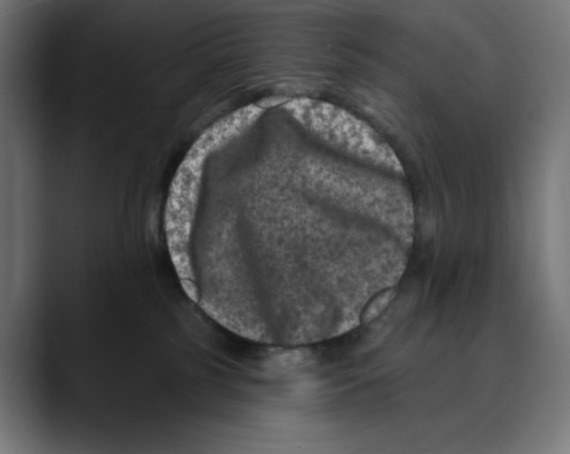 X0000088920185200707061410