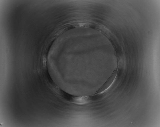 X0000088920191200707061410