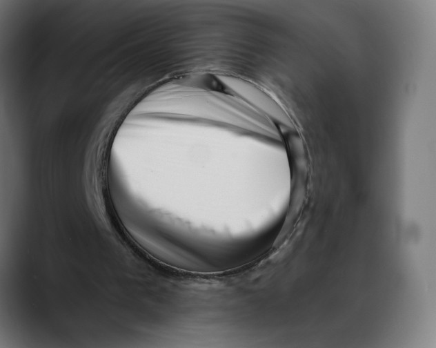 X0000088920193200707061409