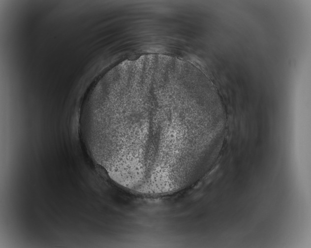 X0000088920194200707061409