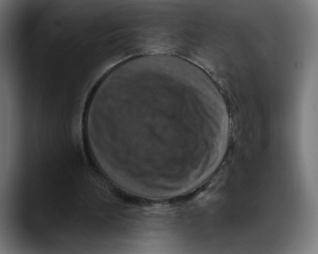 X0000088920196200707061409