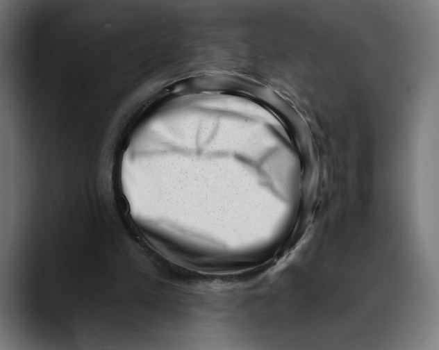 X0000088920197200707061409