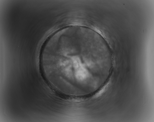 X0000088920199200707061409