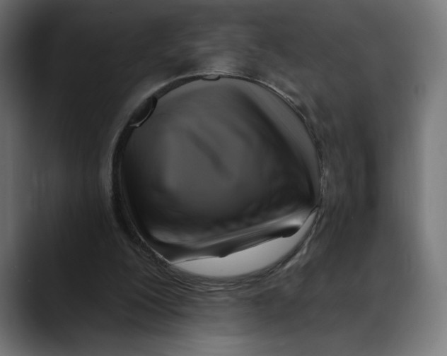 X0000088920200200707061409