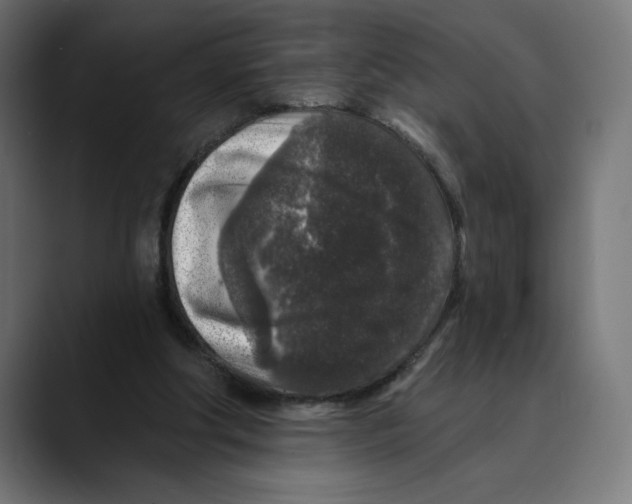 X0000088920202200707061409
