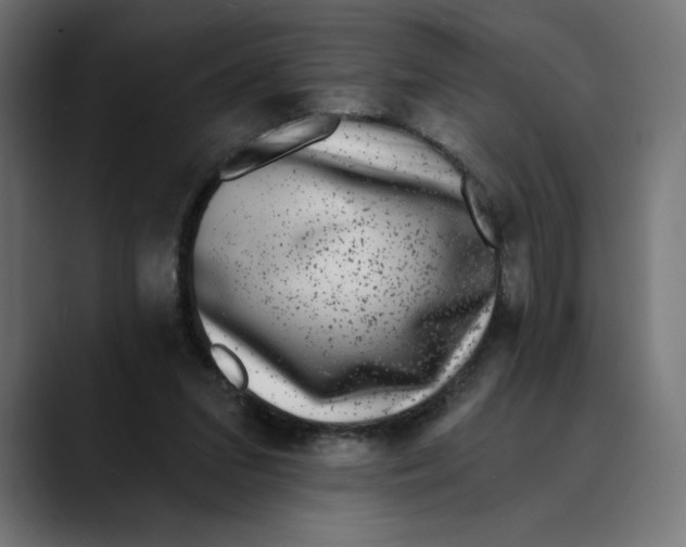 X0000088920207200707061409