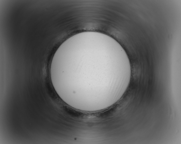 X0000088920208200707061409