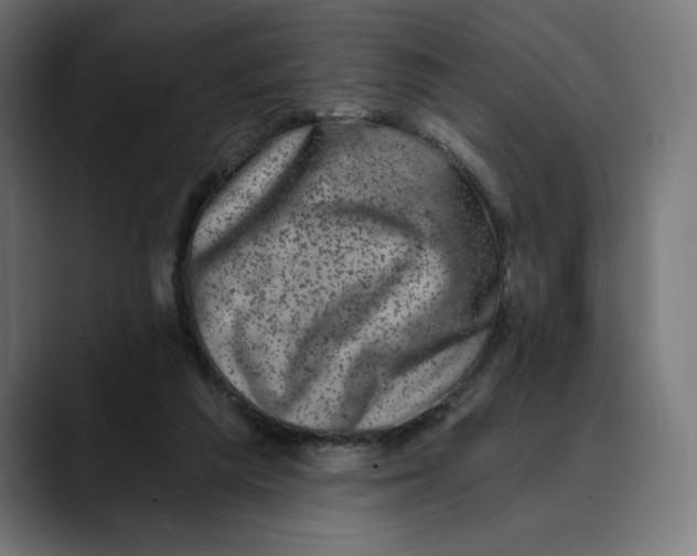 X0000088920209200707061409
