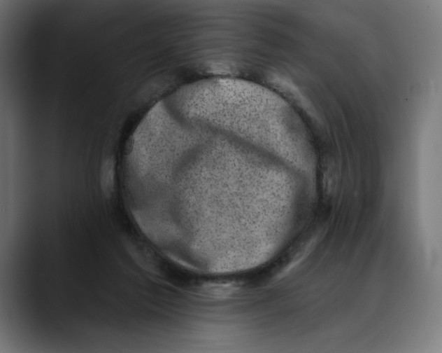 X0000088920213200707061409