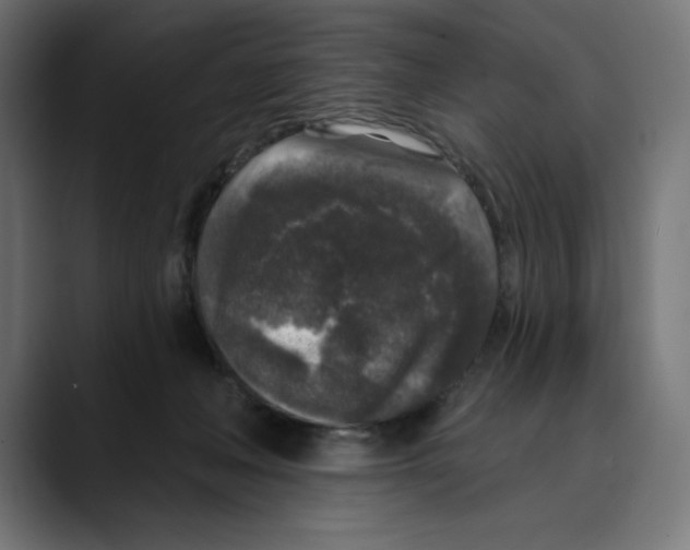 X0000088920222200707061409