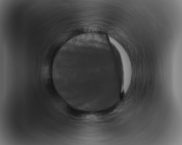 X0000088920224200707061409