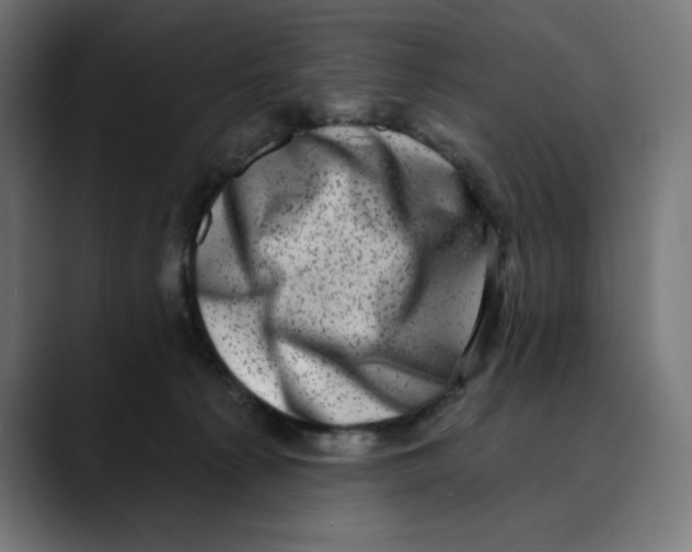 X0000088920225200707061409