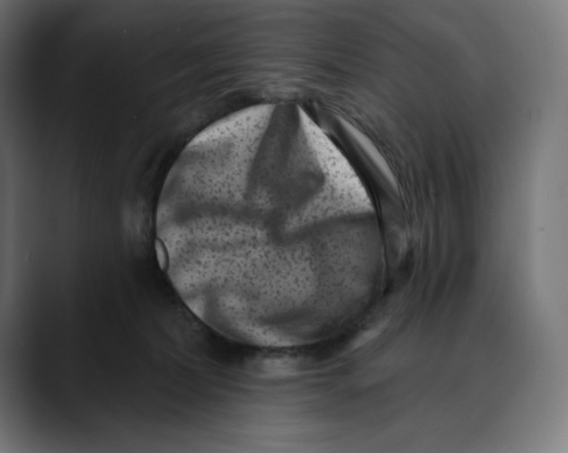X0000088920228200707061409