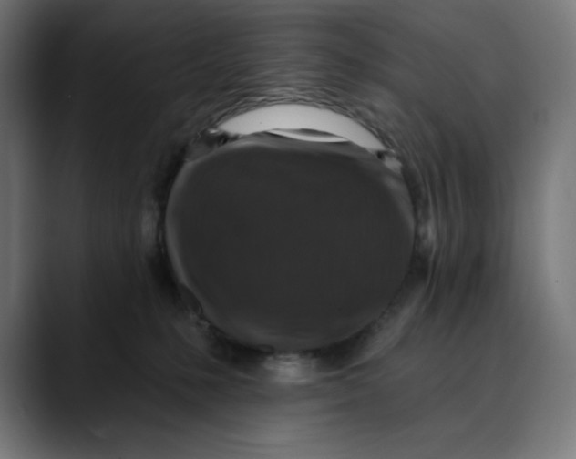 X0000088920231200707061409