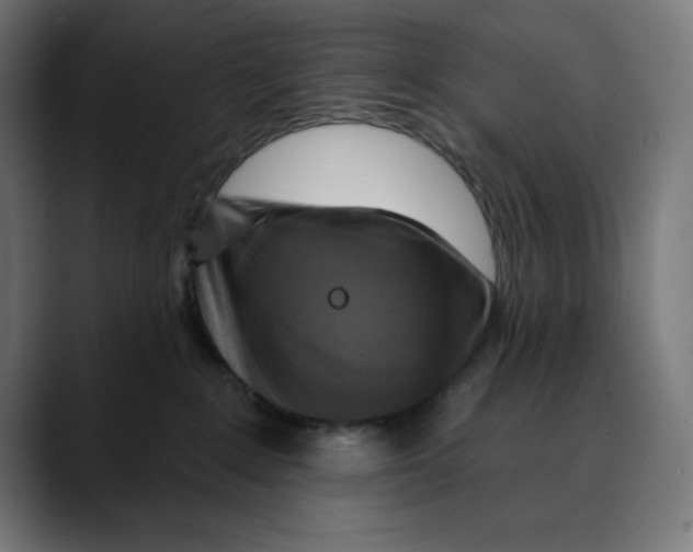 X0000088920235200707061409