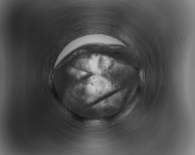 X0000088920237200707061409