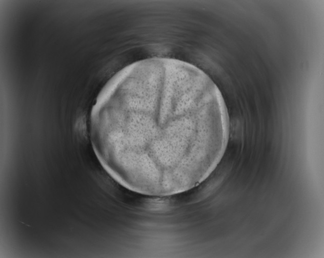 X0000088920238200707061409