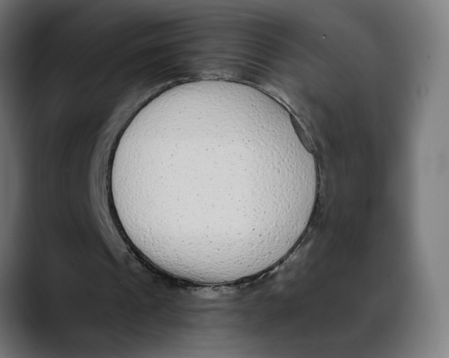 X0000088920241200707061408
