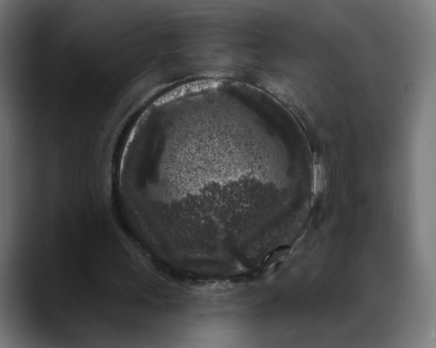 X0000088920243200707061408