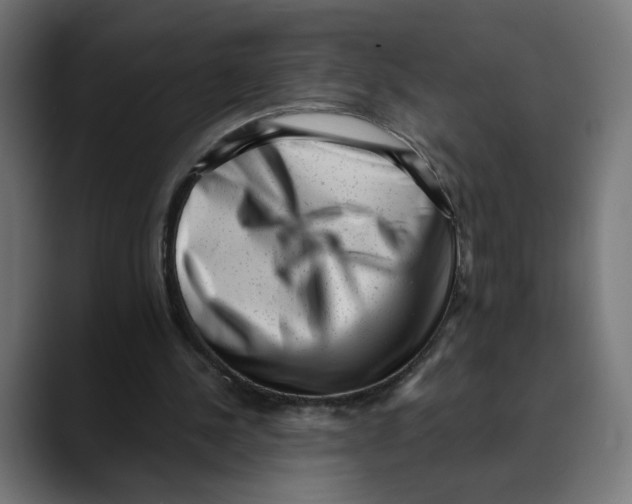 X0000088920244200707061408