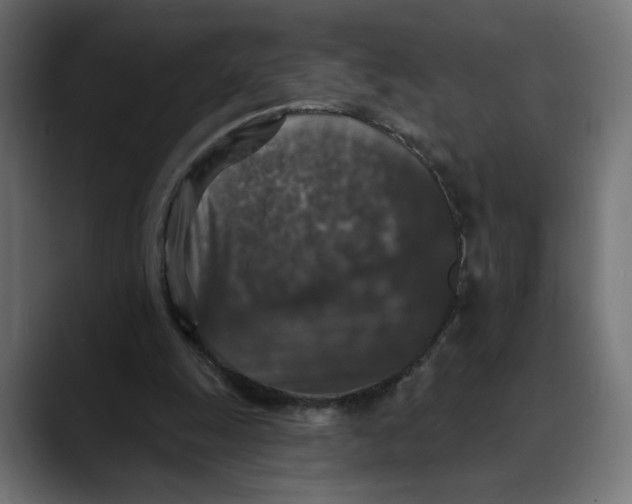 X0000088920247200707061408