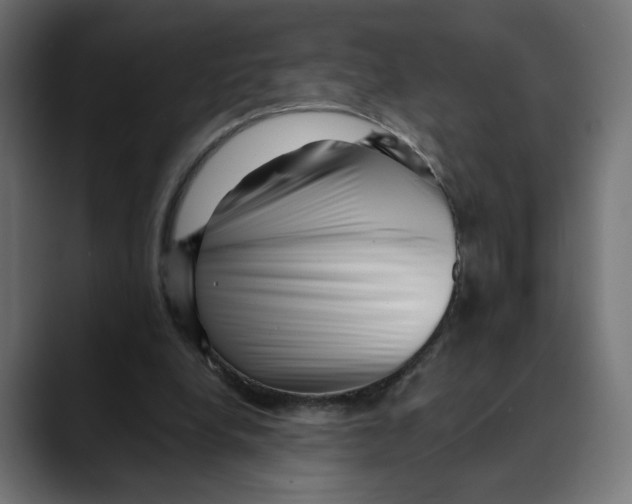 X0000088920248200707061408