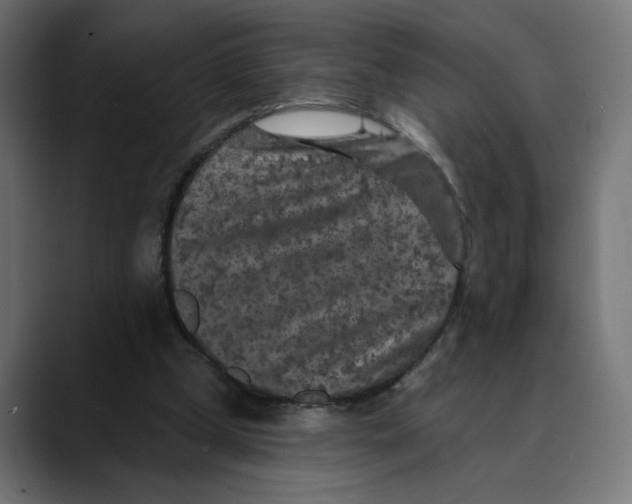 X0000088920249200707061408