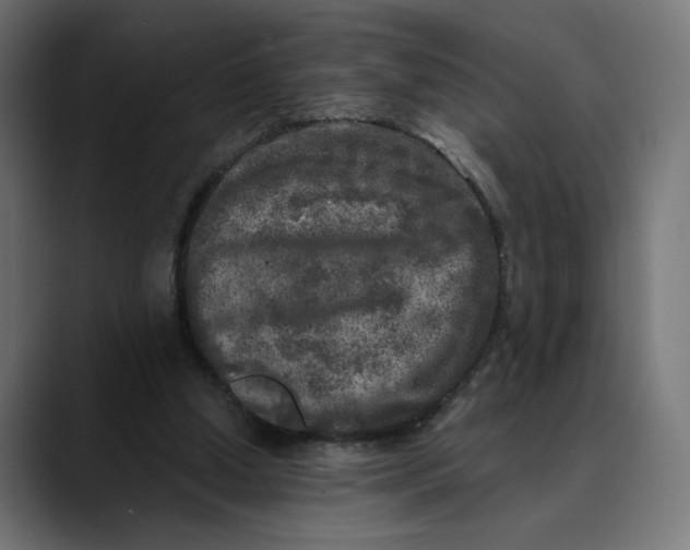 X0000088920250200707061408