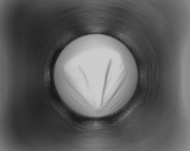 X0000088920254200707061408