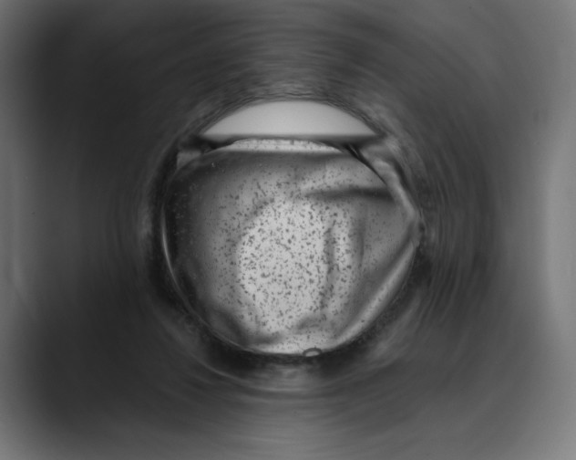 X0000088920260200707061408
