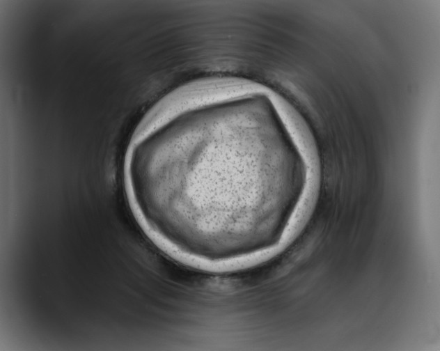 X0000088920261200707061408