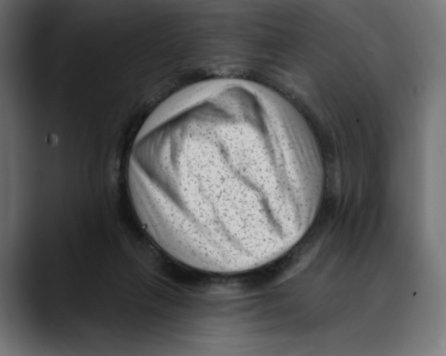 X0000088920263200707061408