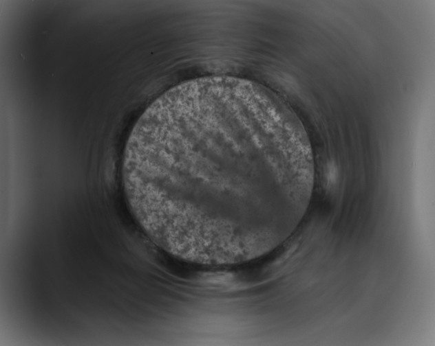 X0000088920266200707061408