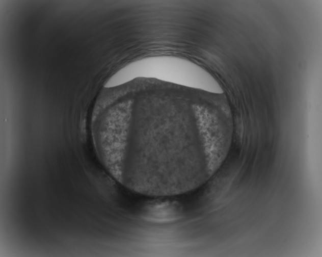 X0000088920267200707061408