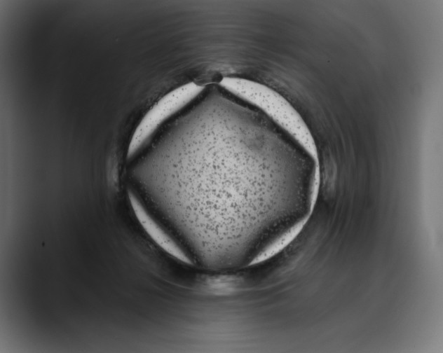 X0000088920268200707061408