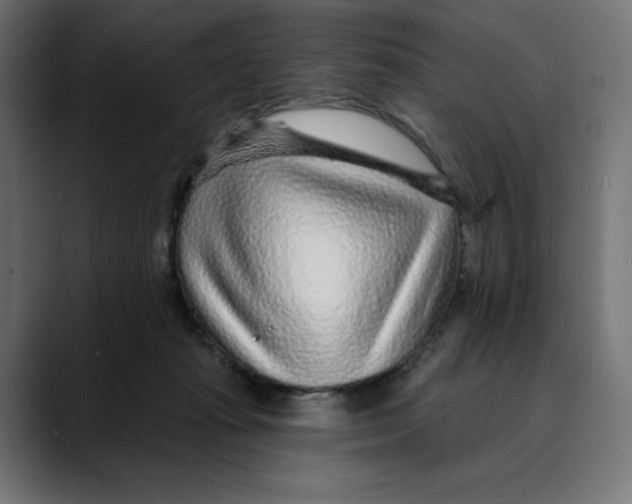 X0000088920269200707061408