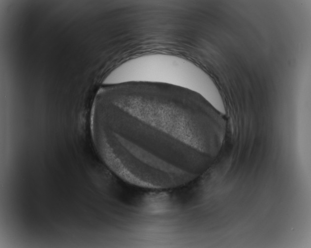 X0000088920271200707061408