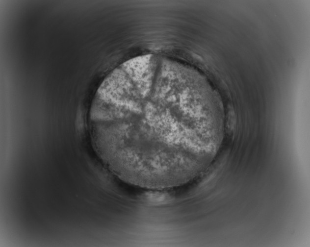 X0000088920272200707061408